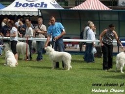 chosna_20211128_1428417624